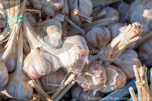 Image of fresh garlic in a market