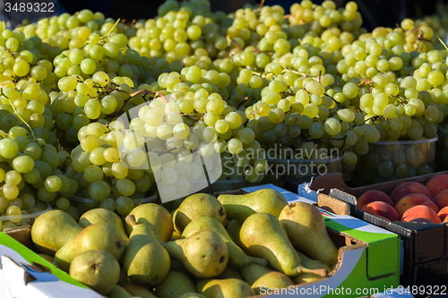 Image of harvested grapes on Vineyards