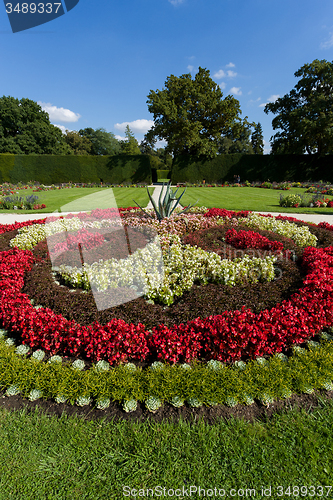Image of flower design in garden