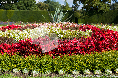 Image of flower design in garden