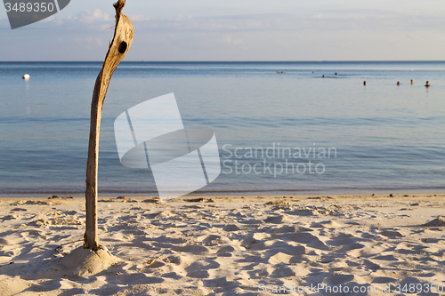 Image of     beach    rocks  cane and south sea 