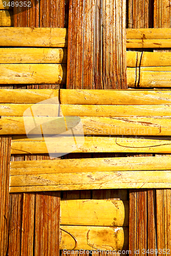 Image of  bamboo in the  kho phangan bay asia and  