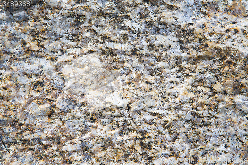 Image of footstep kho samui    rock stone abstract texture s 