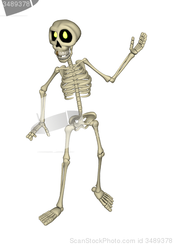 Image of Skeleton