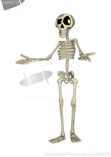 Image of Skeleton