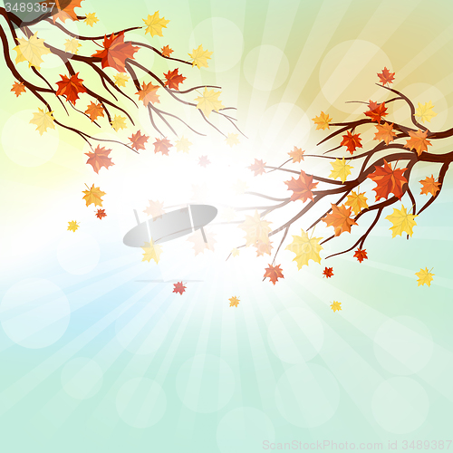 Image of Autumn  Frame