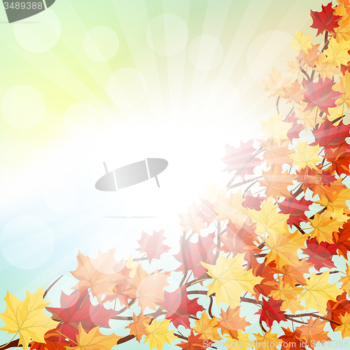 Image of Autumn  Frame