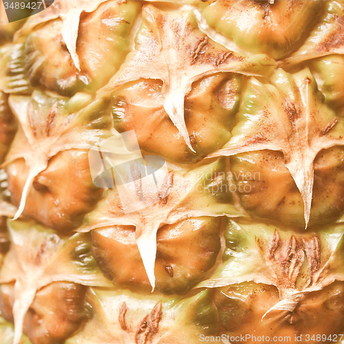 Image of Retro looking Pineapple picture