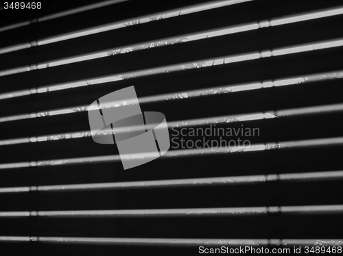 Image of Window blinds