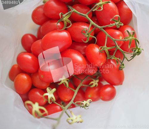 Image of Red Tomato vegetables