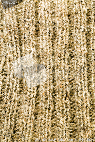 Image of  close up sock,