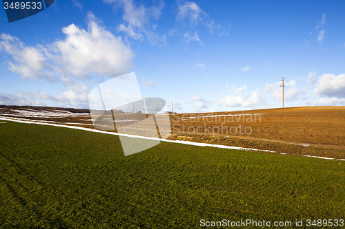 Image of agricultural field  