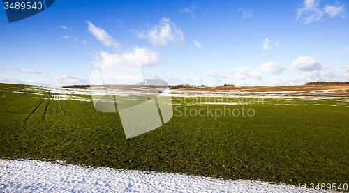 Image of agricultural field  