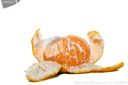 Image of Orange 