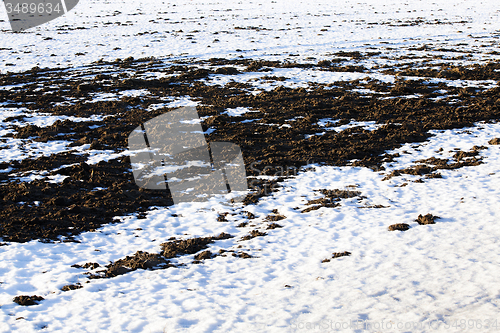 Image of  winter time