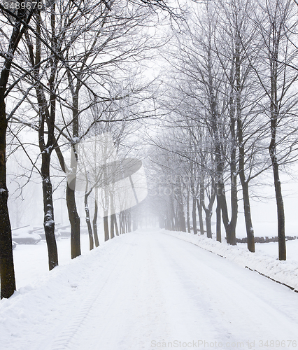 Image of the winter road  