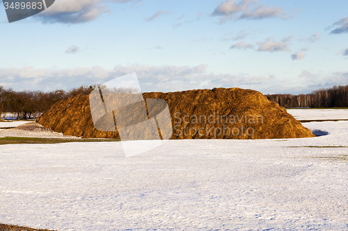 Image of haystack  