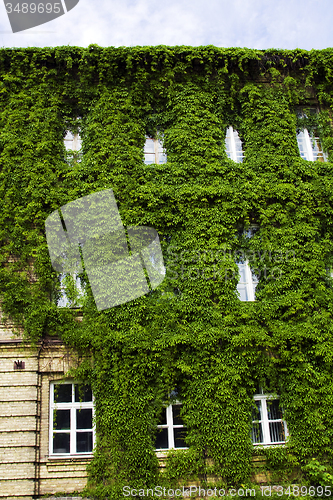 Image of old building 