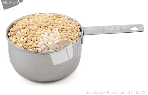Image of Pearl barley in a measuring cup