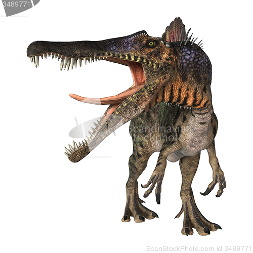 Image of Dinosaur Spinosaurus