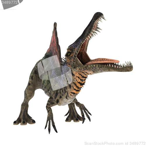 Image of Dinosaur Spinosaurus