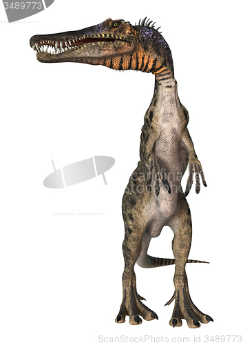 Image of Dinosaur Spinosaurus