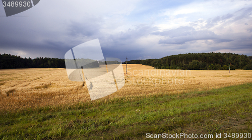 Image of agricultural field  