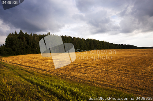 Image of agricultural field  