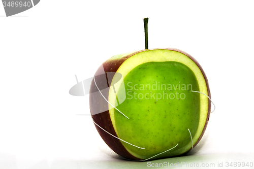 Image of Green Apple 