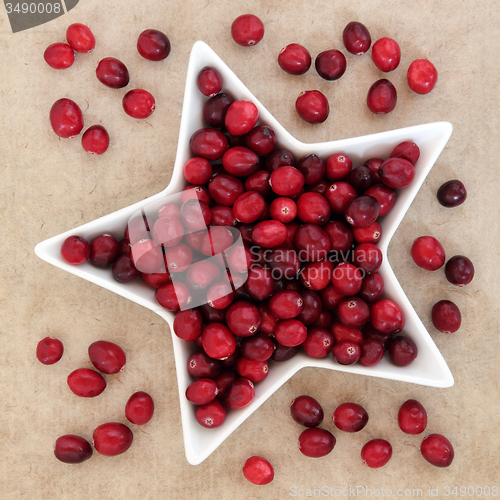 Image of Cranberry Fruit 