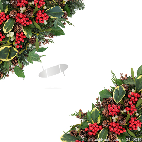 Image of Winter Holly Border