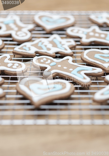 Image of Gingerbread cookies -selective focus