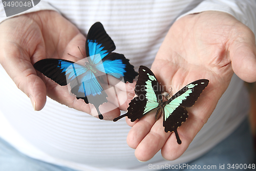 Image of man with beautiful butterflies