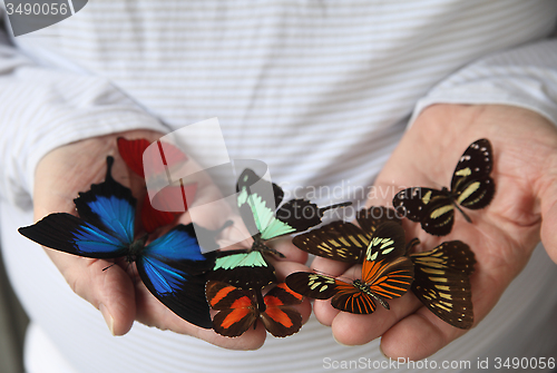 Image of Many butterflies on a man's hands