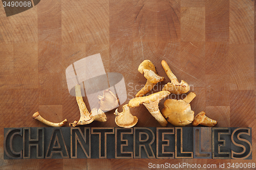 Image of chanterelle mushrooms