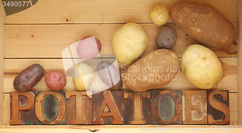 Image of Potato varieties