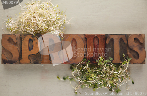 Image of Two kinds of sprouts
