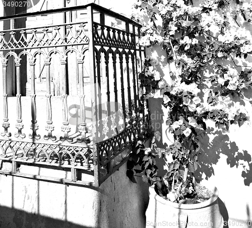 Image of blue door in antique village santorini flower