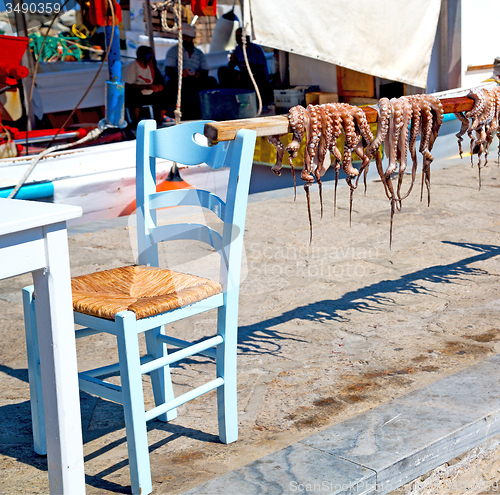 Image of octopus   drying  in the sun europe greece santorini and light