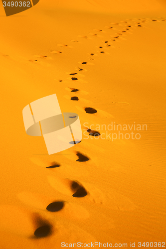 Image of the brown sand  sahara morocco desert 
