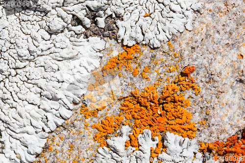 Image of Close up old rock or stone texture