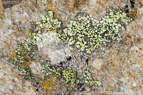 Image of Close up old rock or stone texture