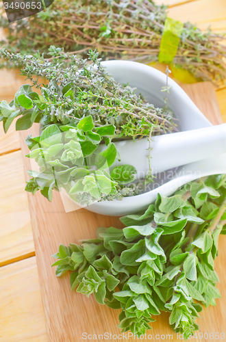 Image of oregano with thyme
