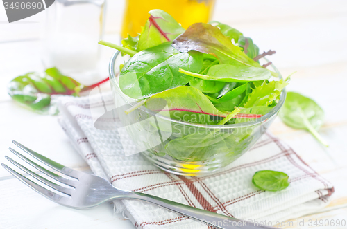 Image of fresh salad