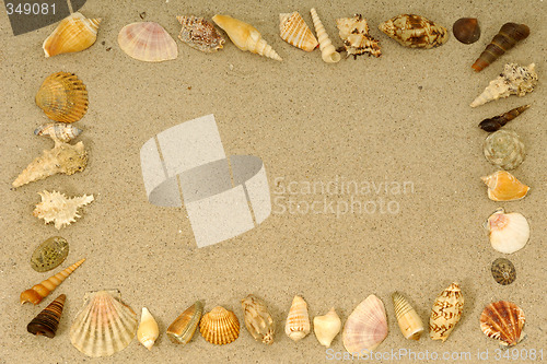 Image of Shell frame