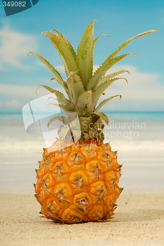 Image of Pineapple and exotic beach