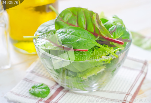 Image of fresh salad