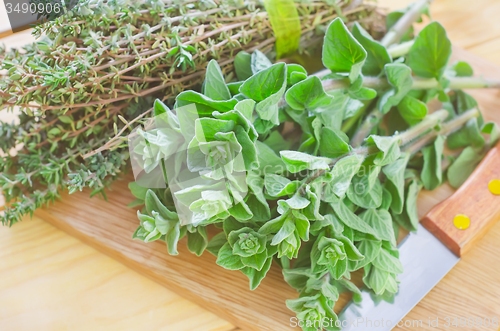 Image of oregano with thyme