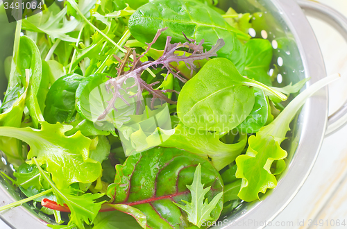 Image of fresh salad