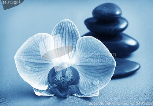 Image of Orchid and black basalt for spa on green background